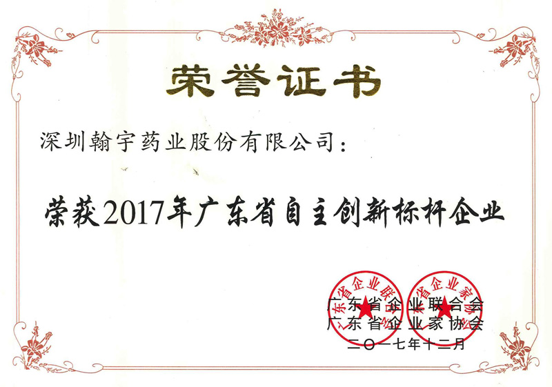 C-2017-2017年广东省自主创新标杆企业-small